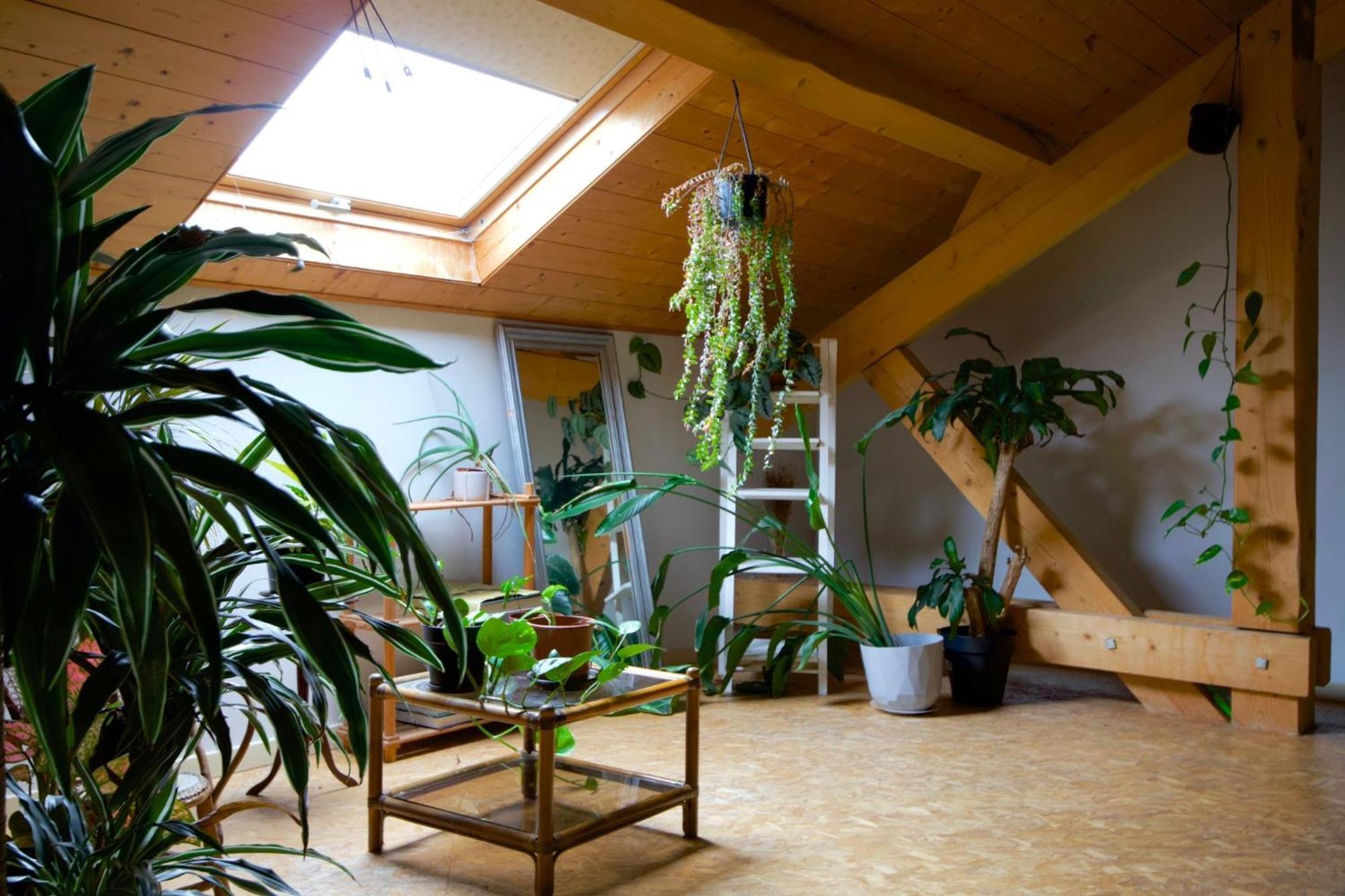Loft Haut De Gamme Entre Verdure Et Ville Chaudefontaine  Exterior foto